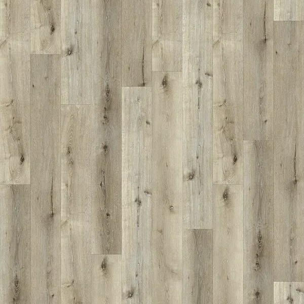 Dijon Oak
