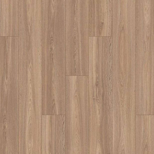 Desert Oak