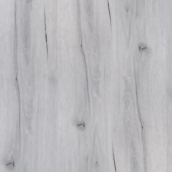 Trout Grey