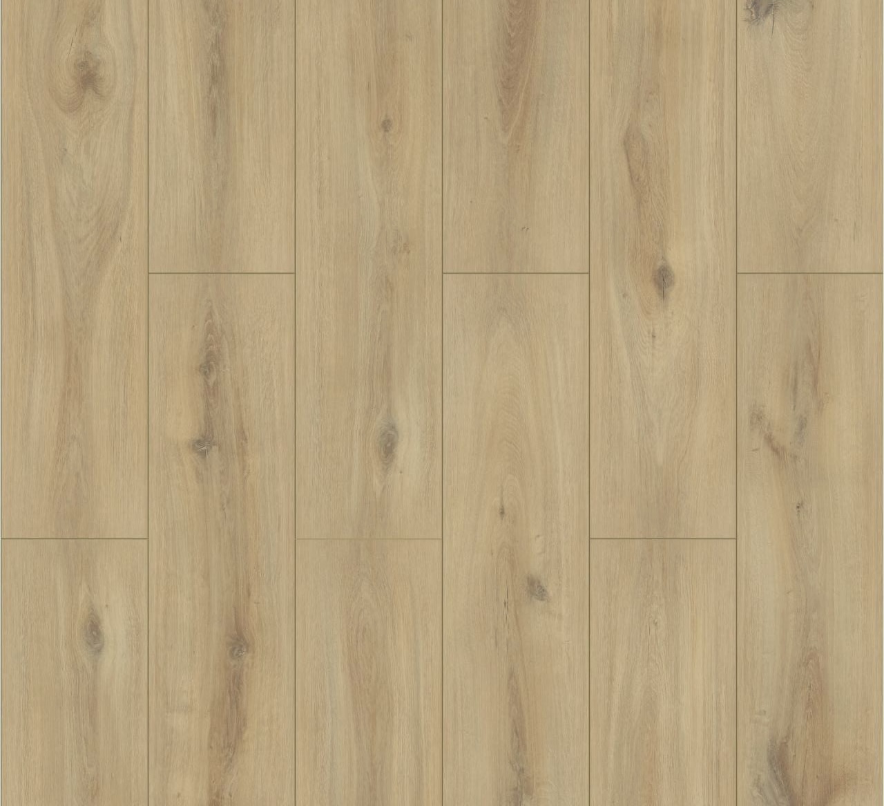 Golden Vista Oak