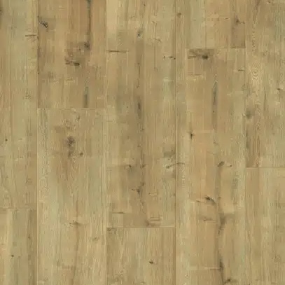 Taylor Oak