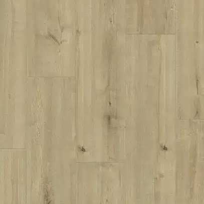Vancouver Oak